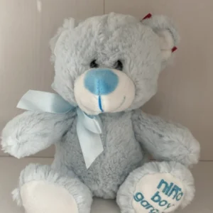 Osito Boy Niño Azul 1 Osito Boy Niño Azul - Imagen 1