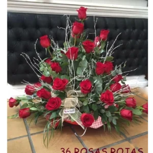 Inicio 50 Centro de 36 Rosas Rojas