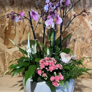 Centro de Orquídeas rosa y plantas 7 Centro de Orquídeas rosa y plantas - Imagen 4