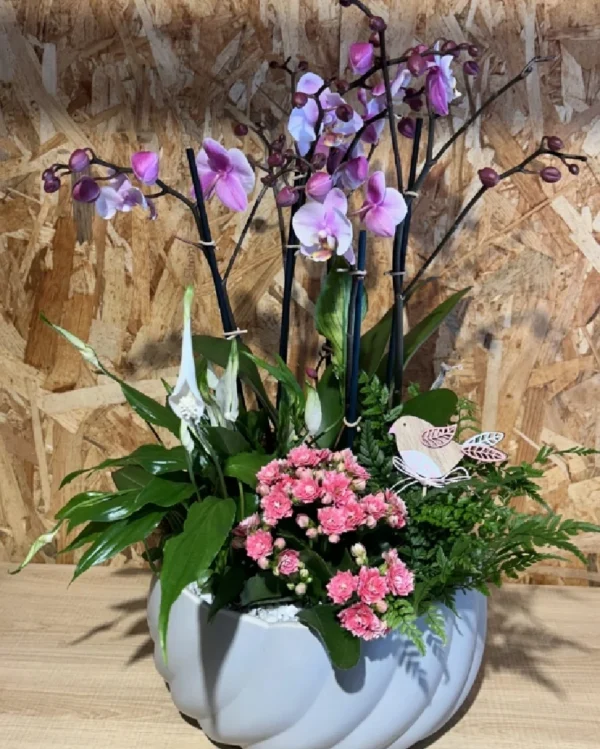 Centro de Orquídeas rosa y plantas 3 Centro de Orquideas rosa y plantas 1