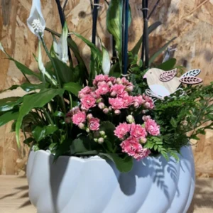 Centro de Orquídeas rosa y plantas 6 Centro de Orquídeas rosa y plantas - Imagen 3