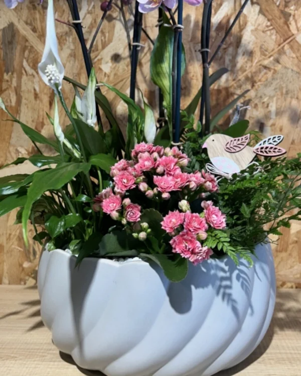 Centro de Orquídeas rosa y plantas 2 Centro de Orquideas rosa y plantas 2