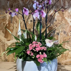 Centro de Orquídeas rosa y plantas 4 Centro de Orquídeas rosa y plantas - Imagen 1