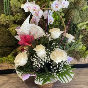 Cesta con Rosas y planta Phalaenopsis. 1 Cesta con Rosas y planta Phalaenopsis. - Imagen 1