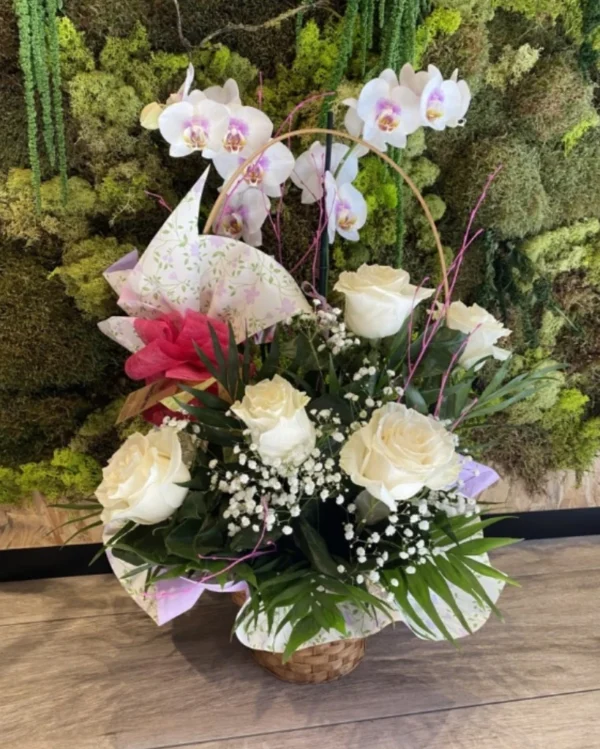 Cesta con Rosas y planta Phalaenopsis Cesta con Rosas y planta Phalaenopsis