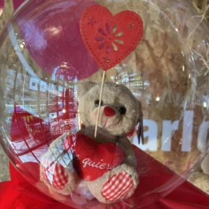 Globo burbuja con peluche - Imagen 3