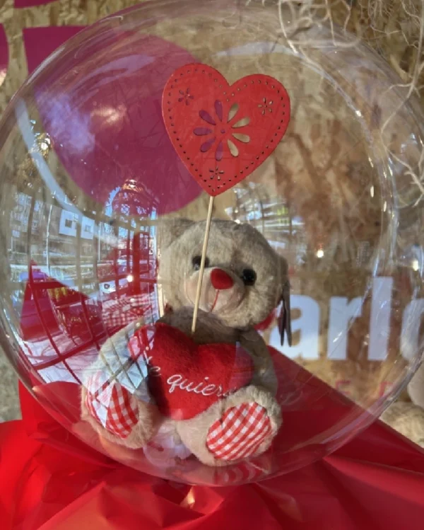 Globo burbuja con peluche 2