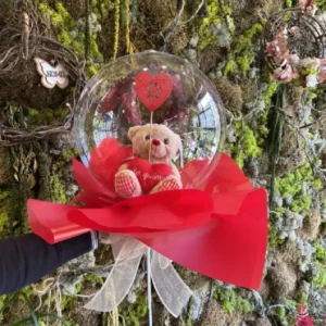 Globo burbuja con peluche - Imagen 2