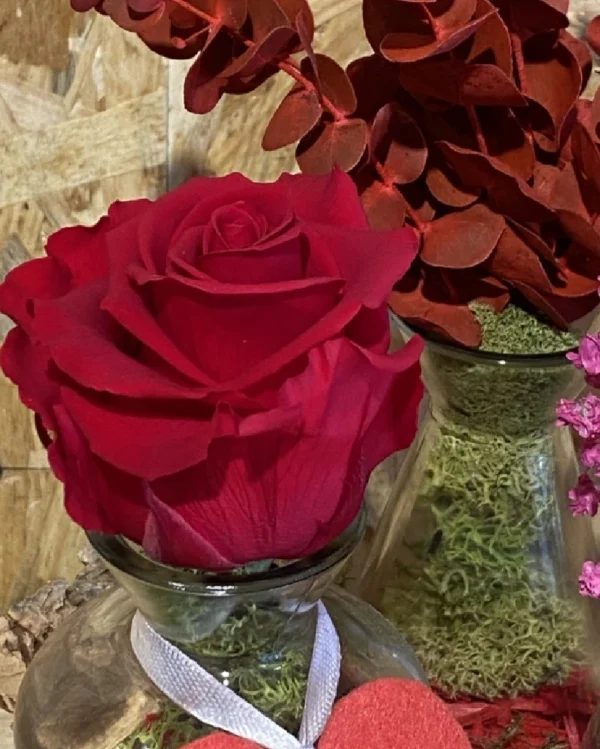 Rodaja Madera con Rosa Roja Preservada. 1 Rodaja Madera con Rosa Roja Preservada 3