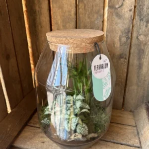 Terrarium cristal con plantas. - Imagen 3