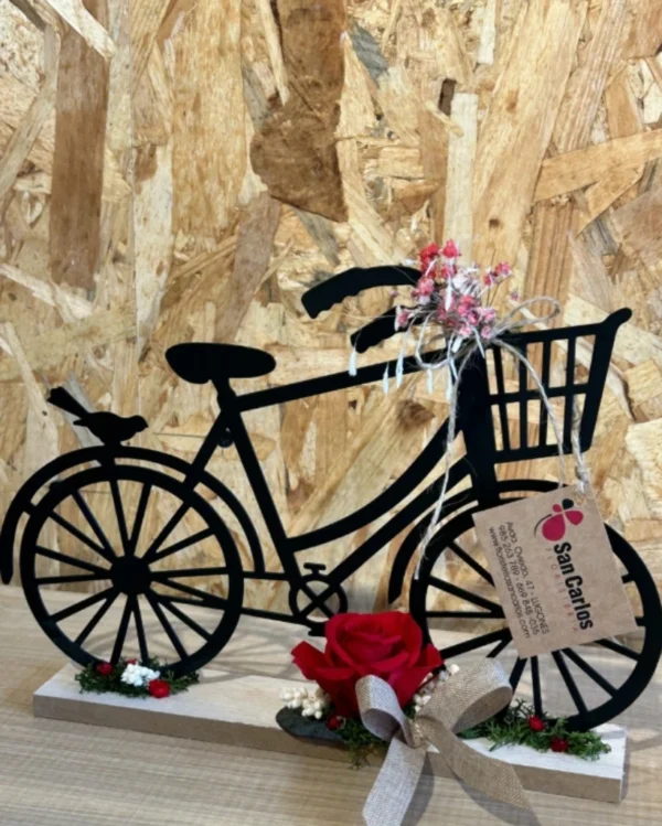 Bicicleta con Rosa Roja preservada. 2 Bicicleta con Rosa Roja preservada 2