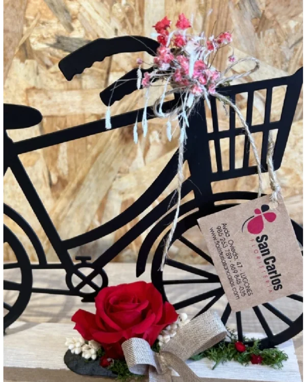 Bicicleta con Rosa Roja preservada. 1 Bicicleta con Rosa Roja preservada 3