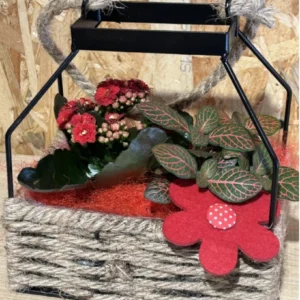 Candil de plantas black. 5 Candil de plantas black. - Imagen 3