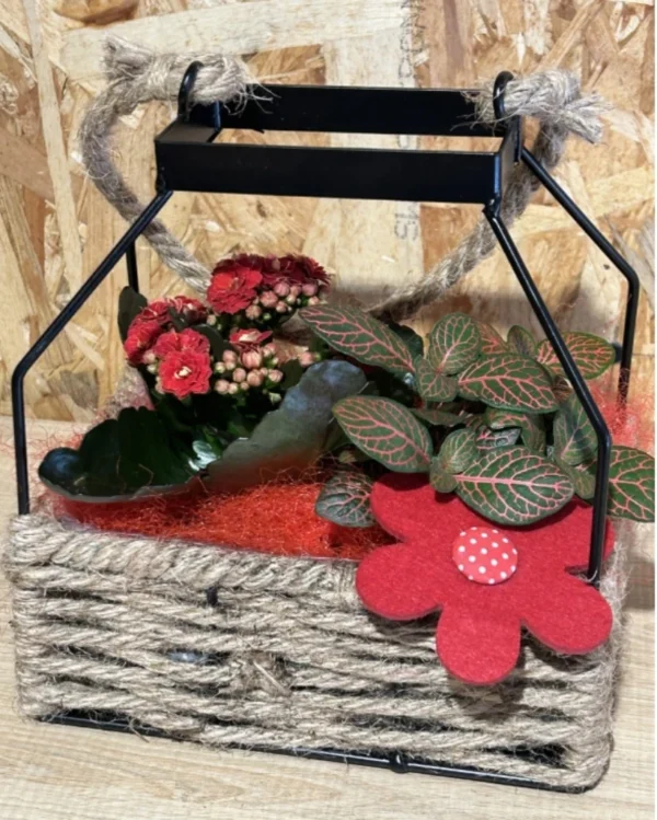 Candil de plantas black. 2 Candil de plantas black 1