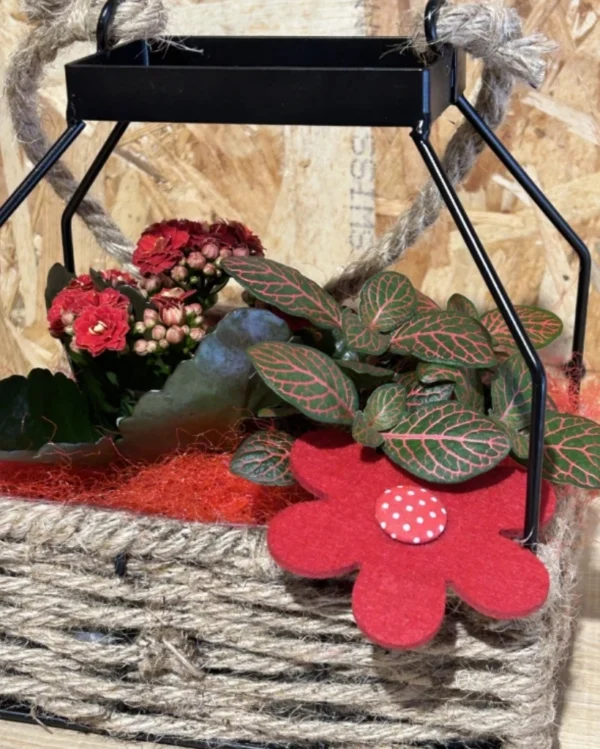 Candil de plantas black. 1 Candil de plantas black 2