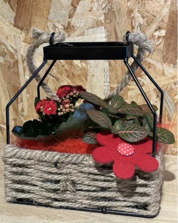 Candil de plantas black Candil de plantas black