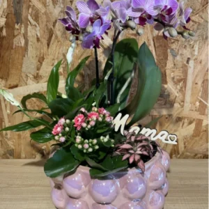 Centro MAMÁ con phalaenopsis rosa y plantas - Imagen 4