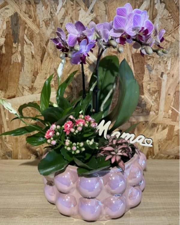 Centro MAMA con phalaenopsis rosa y plantas 1