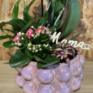 Centro MAMÁ con phalaenopsis rosa y plantas - Imagen 3
