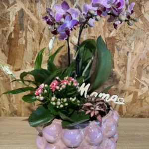 Centro MAMÁ con phalaenopsis rosa y plantas - Imagen 1