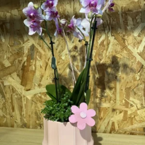 Centro Phalaenopsis rosa Base Ceramic. - Imagen 3