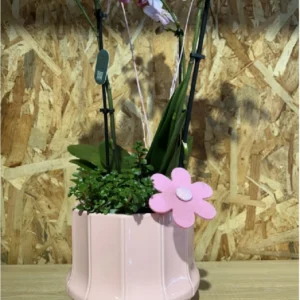 Centro Phalaenopsis rosa Base Ceramic. - Imagen 2