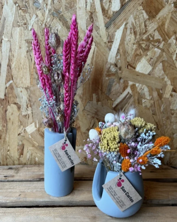 Centro Viena seco y preservado 4