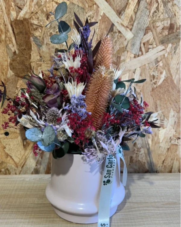 Centro Viena seco y preservado