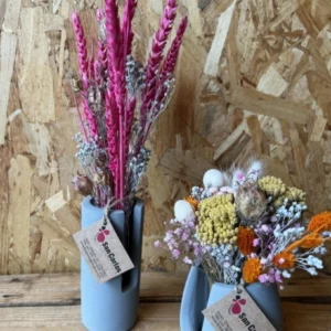 Centro Viena seco y preservado. - Imagen 4