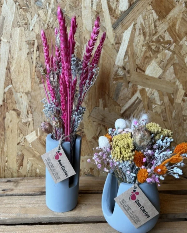 Centro Viena seco y preservado. 1