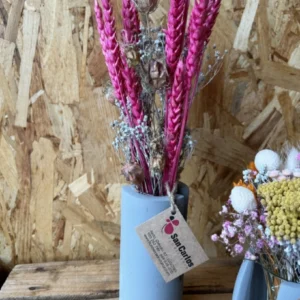 Centro Viena seco y preservado. - Imagen 3