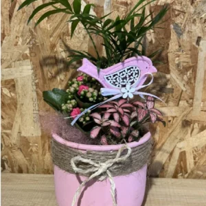 Centro con plantas en base pink cuerda. 5 Centro con plantas en base pink cuerda. - Imagen 3