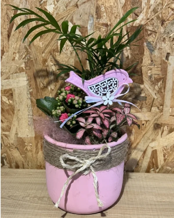 Centro con plantas en base pink cuerda. 2 Centro con plantas en base pink cuerda 1