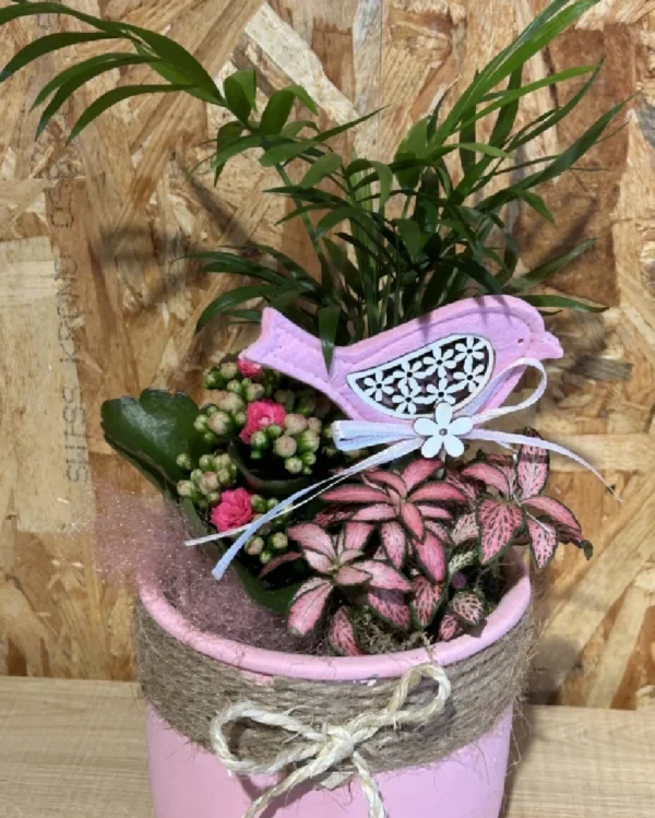 Centro con plantas en base pink cuerda. 1 Centro con plantas en base pink cuerda 2
