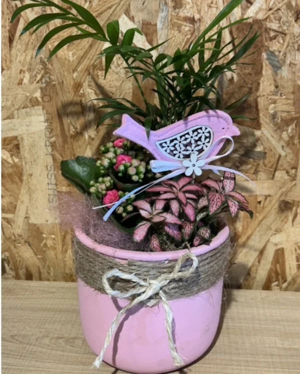 Centro con plantas en base pink cuerda Centro con plantas en base pink cuerda