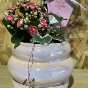 Centro de plantas en base pink fluor 5 Centro de plantas en base pink fluor - Imagen 3