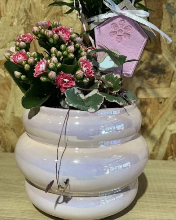 Centro de plantas en base pink fluor 2 Centro de plantas en base pink fluor 1