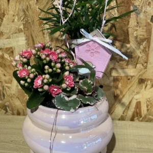 Centro de plantas en base pink fluor 4 Centro de plantas en base pink fluor - Imagen 2