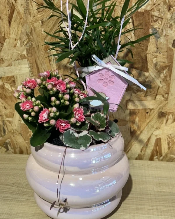 Centro de plantas en base pink fluor 1 Centro de plantas en base pink fluor 2