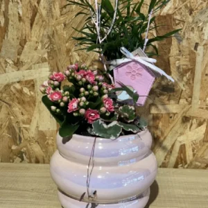 Centro de plantas en base pink fluor 3 Centro de plantas en base pink fluor - Imagen 1