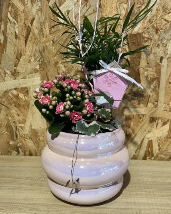 Centro de plantas en base pink fluor Centro de plantas en base pink fluor