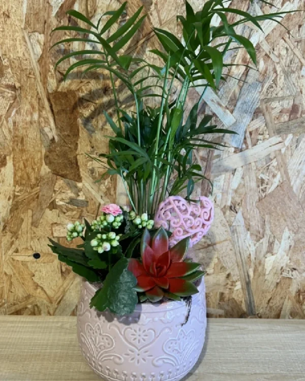 Centro plantas LOVE pink. 2 Centro plantas LOVE pink 1