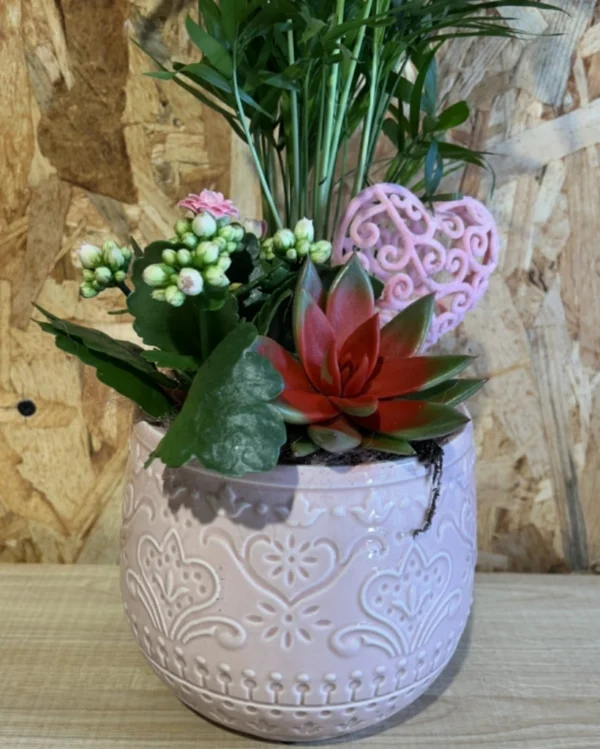 Centro plantas LOVE pink. 1 Centro plantas LOVE pink 2