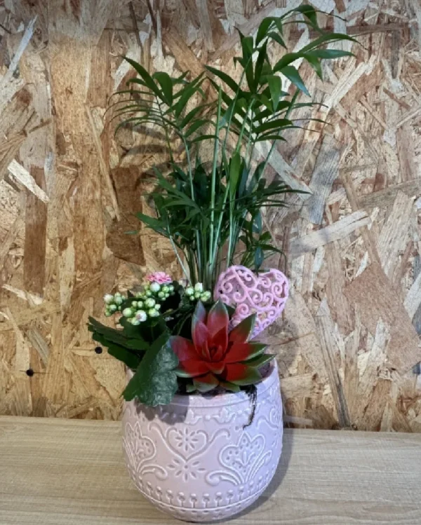 Centro plantas LOVE pink Centro plantas LOVE pink