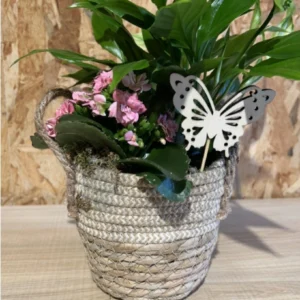 Centro plantas natur/white. - Imagen 3