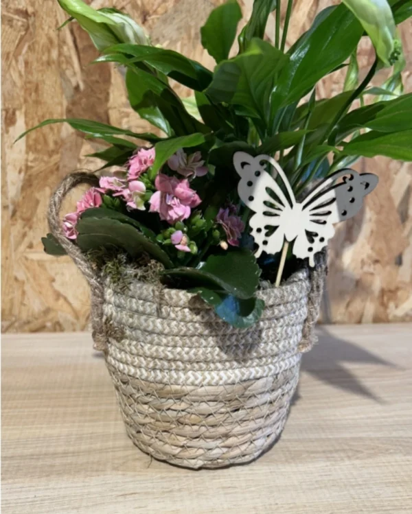 Centro plantas natur white 1