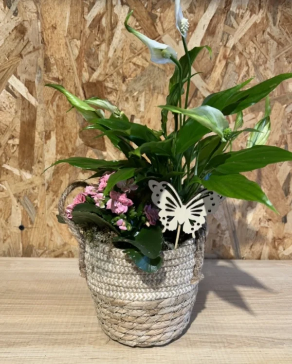 Centro plantas natur white 2