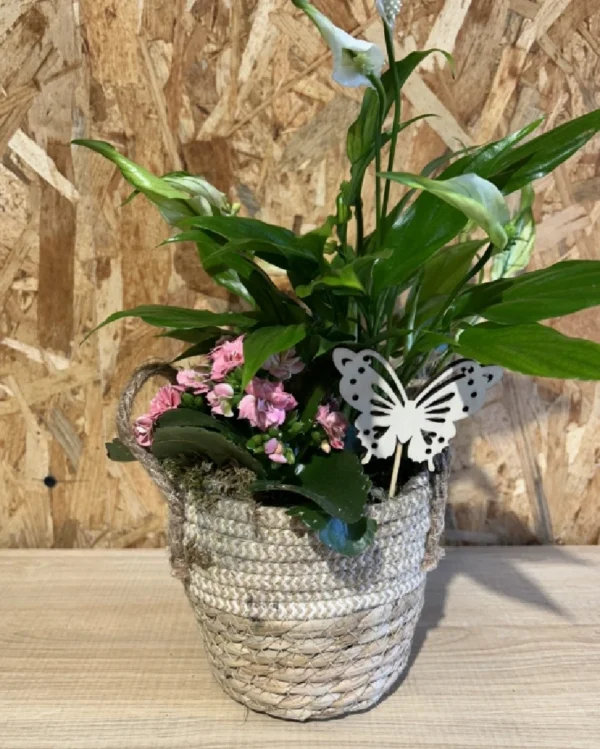 Centro plantas natur white