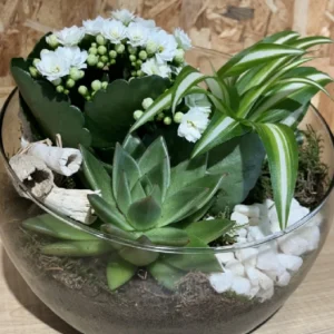 Centro white plantas. 7 Centro white plantas. - Imagen 4