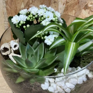 Centro white plantas. 5 Centro white plantas. - Imagen 2